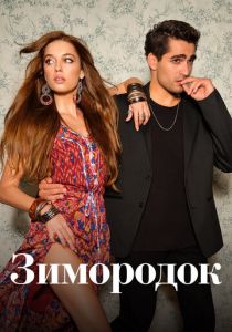 Зимородок 2022