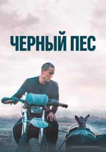 Чёрный пёс 2024