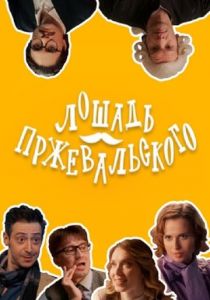 Лошадь Пржевальского 2025