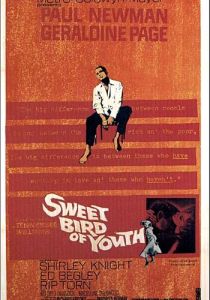 Сладкоголосая птица юности 1962