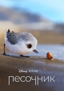 Песочник 2016