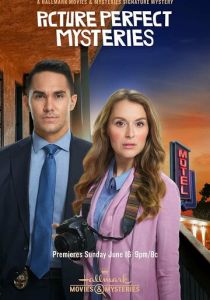 Picture Perfect Mysteries: Newlywed and Dead 2019