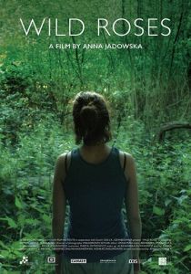 Дикие розы 2017