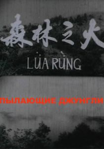 Пылающие джунгли 1965