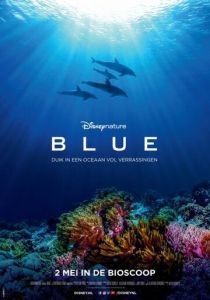 Дельфины 2018