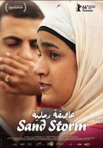 Буря в пустыне 2016