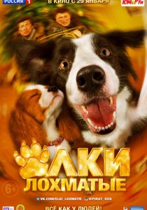 Ёлки лохматые 2014