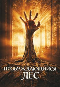 Пробуждающийся лес 2009