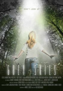 Серые небеса 2010