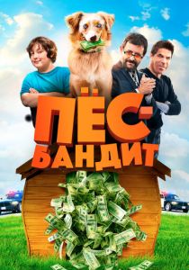 Пёс Бандит 2016