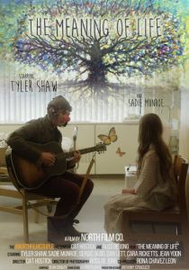 Смысл жизни 2017