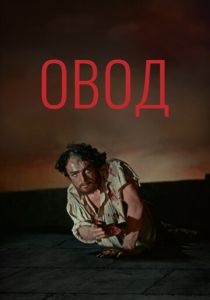 Овод 1955