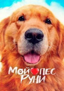 Мой пёс Руни 2023