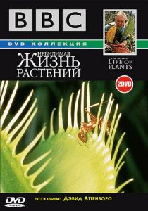 BBC: Невидимая жизнь растений 1995