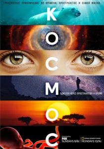 Космос: Пространство и время 2014