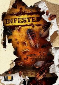 Вторжение паразитов 2011