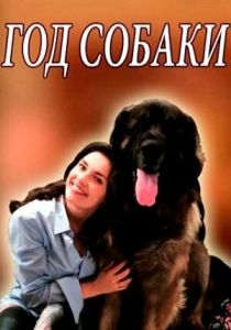 Год собаки 2018