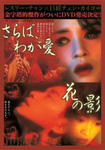 Прощай, моя наложница 1993