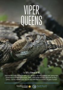 Королевы гадюк 2016