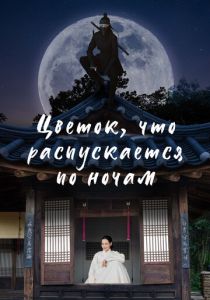 Цветок, что распускается по ночам 2024