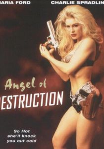 Ангел разрушения 1994