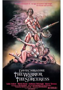 Воин и колдунья 1984