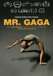 Мистер Гага 2015