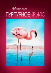 Пурпурное крыло 2008