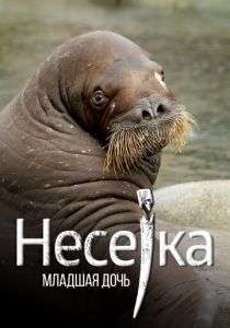 Несейка. Младшая дочь 2018