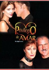 Привилегия любить 1998