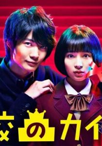 Лестницы школы 2015