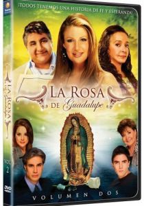 Роза Гваделупе 2008