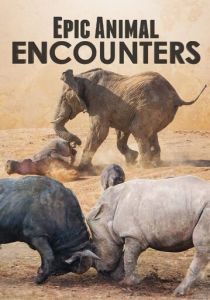 Epic Animal Encounters 2019