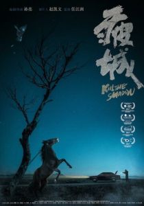 Убей тень 2017