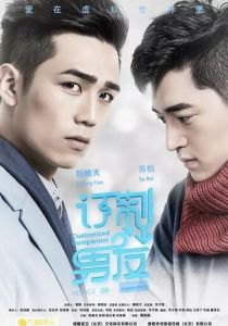 Индивидуальный компаньон 2017