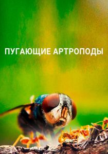 Пугающие артроподы (Сериал 2020)